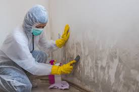 Best Residential Mold Inspection & Testing  in Carlinvle, IL